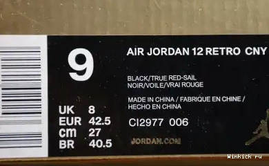 YEAR NEW CHINESE 12 (2019) JORDAN RETRO - 0507